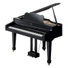 dan-piano-roland-rg3-musiccity