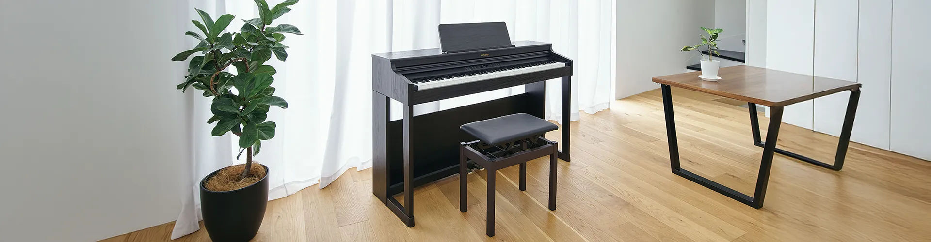 Roland RP Series