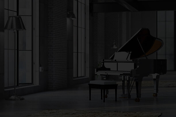 Music City – Tổng Kho Piano, Guitar, Organ | Dịch Vụ Giáo Dục Âm Nhạc