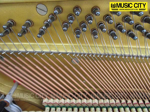 Music City – Tổng Kho Piano, Guitar, Organ | Dịch Vụ Giáo Dục Âm Nhạc