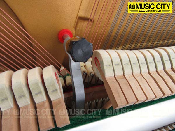 Music City – Tổng Kho Piano, Guitar, Organ | Dịch Vụ Giáo Dục Âm Nhạc