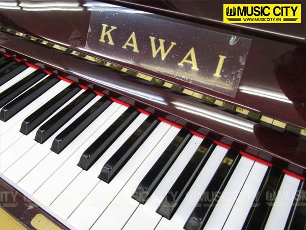 Music City – Tổng Kho Piano, Guitar, Organ | Dịch Vụ Giáo Dục Âm Nhạc