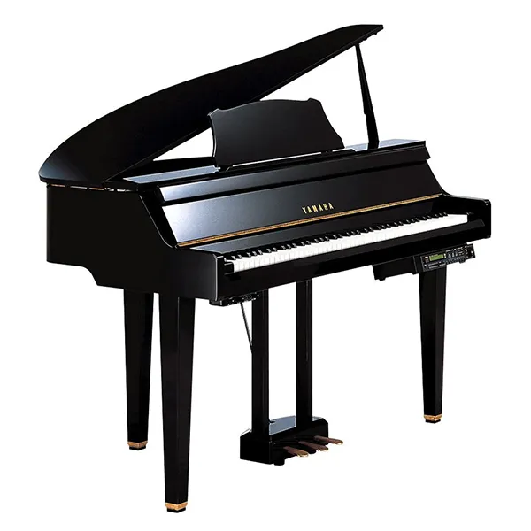 Music City – Tổng Kho Piano, Guitar, Organ | Dịch Vụ Giáo Dục Âm Nhạc