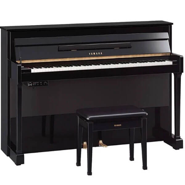 Music City – Tổng Kho Piano, Guitar, Organ | Dịch Vụ Giáo Dục Âm Nhạc