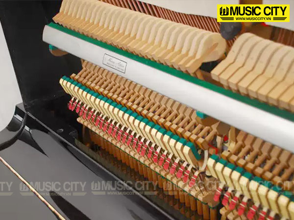 Music City – Tổng Kho Piano, Guitar, Organ | Dịch Vụ Giáo Dục Âm Nhạc