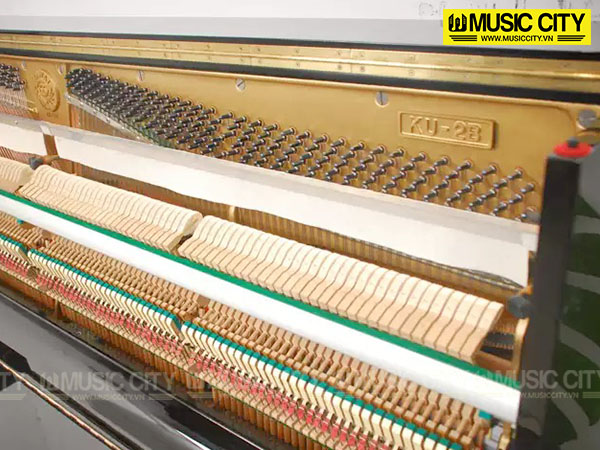 Music City – Tổng Kho Piano, Guitar, Organ | Dịch Vụ Giáo Dục Âm Nhạc
