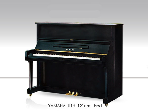 Music City – Tổng Kho Piano, Guitar, Organ | Dịch Vụ Giáo Dục Âm Nhạc
