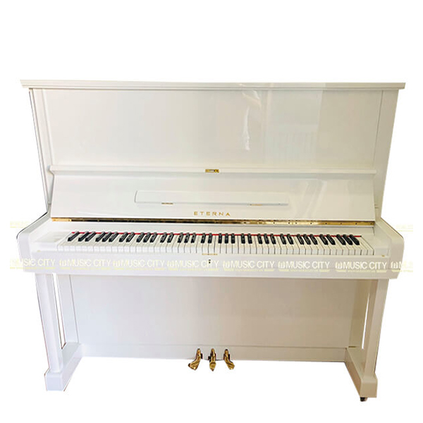 Music City – Tổng Kho Piano, Guitar, Organ | Dịch Vụ Giáo Dục Âm Nhạc