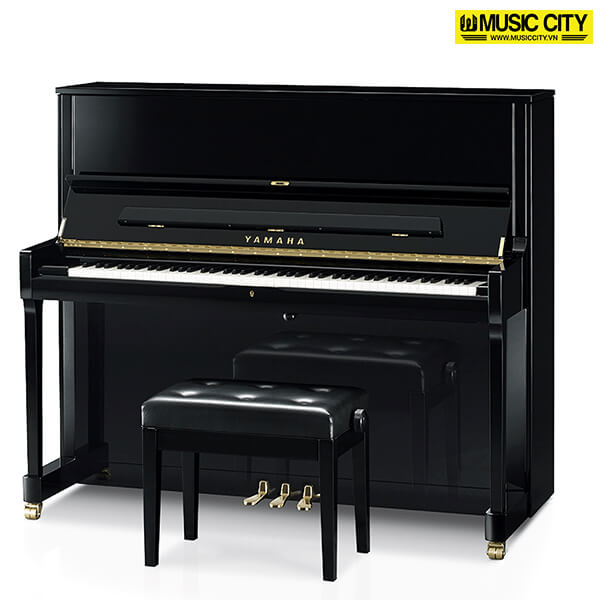 Music City – Tổng Kho Piano, Guitar, Organ | Dịch Vụ Giáo Dục Âm Nhạc