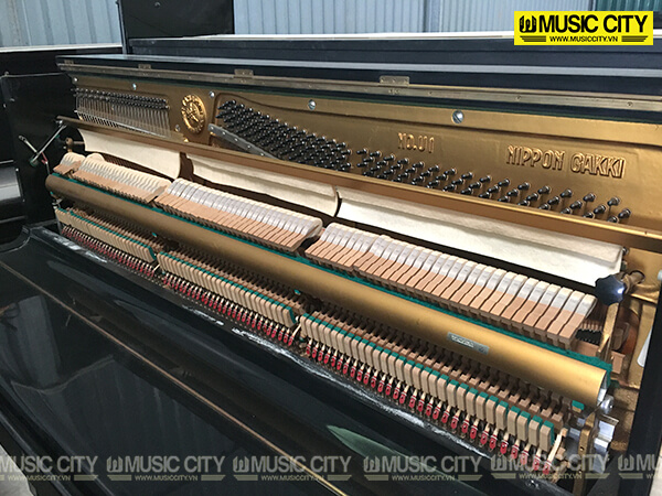 Music City – Tổng Kho Piano, Guitar, Organ | Dịch Vụ Giáo Dục Âm Nhạc