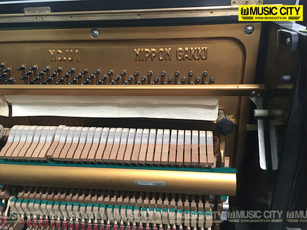 Music City – Tổng Kho Piano, Guitar, Organ | Dịch Vụ Giáo Dục Âm Nhạc
