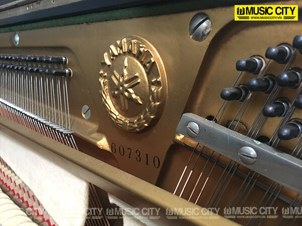 Music City – Tổng Kho Piano, Guitar, Organ | Dịch Vụ Giáo Dục Âm Nhạc