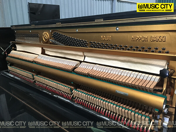 Music City – Tổng Kho Piano, Guitar, Organ | Dịch Vụ Giáo Dục Âm Nhạc