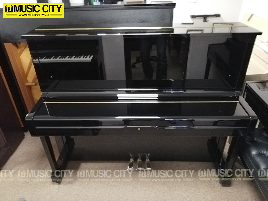 Music City – Tổng Kho Piano, Guitar, Organ | Dịch Vụ Giáo Dục Âm Nhạc