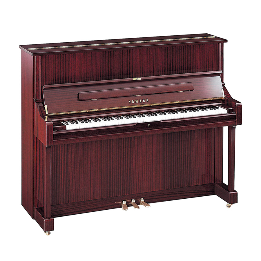 Music City – Tổng Kho Piano, Guitar, Organ | Dịch Vụ Giáo Dục Âm Nhạc