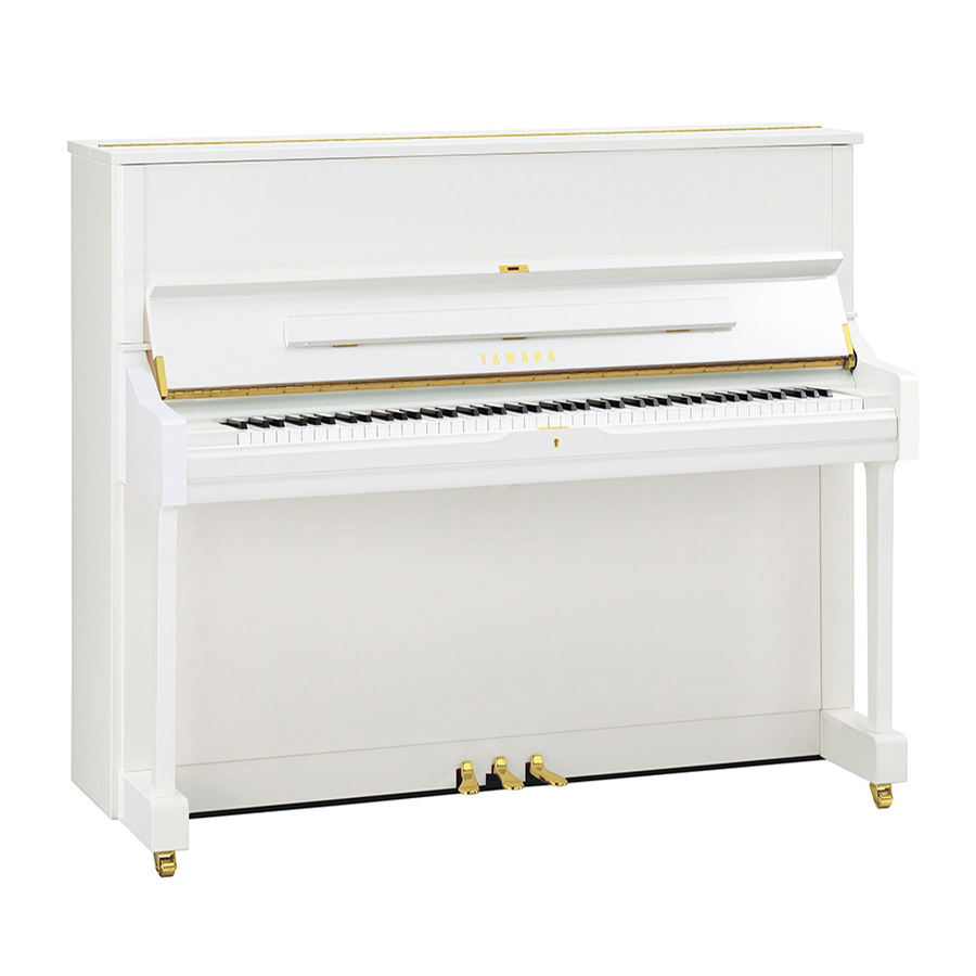 Music City – Tổng Kho Piano, Guitar, Organ | Dịch Vụ Giáo Dục Âm Nhạc