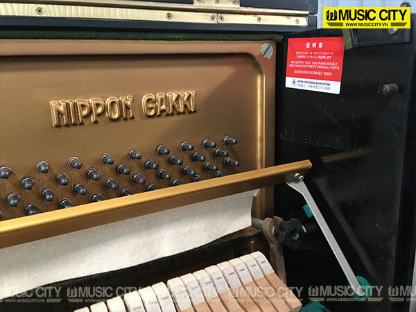 Music City – Tổng Kho Piano, Guitar, Organ | Dịch Vụ Giáo Dục Âm Nhạc