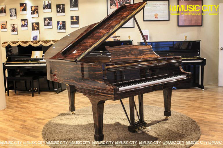 Music City – Tổng Kho Piano, Guitar, Organ | Dịch Vụ Giáo Dục Âm Nhạc
