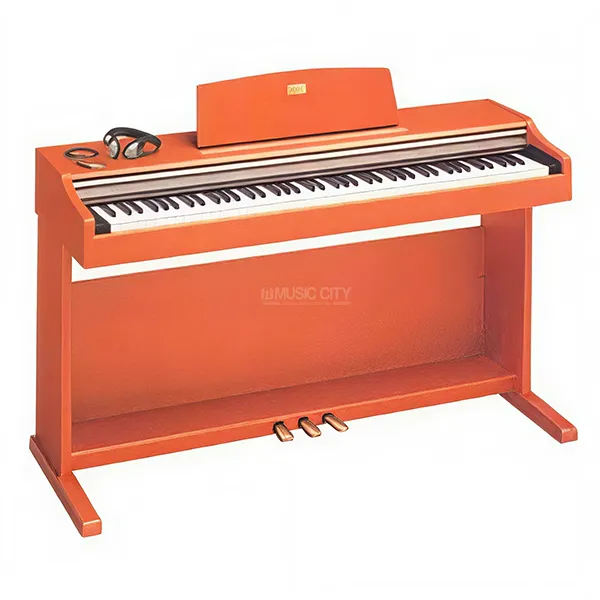Music City – Tổng Kho Piano, Guitar, Organ | Dịch Vụ Giáo Dục Âm Nhạc