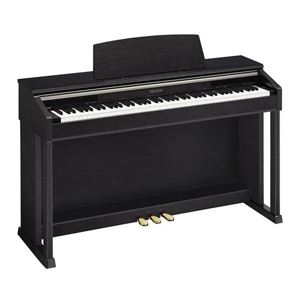 Music City – Tổng Kho Piano, Guitar, Organ | Dịch Vụ Giáo Dục Âm Nhạc