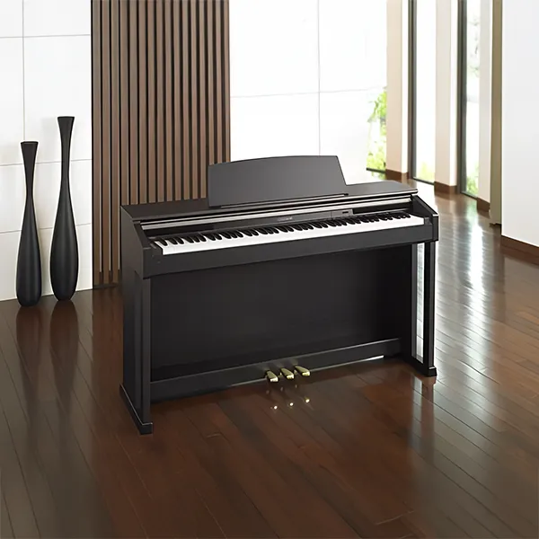 Music City – Tổng Kho Piano, Guitar, Organ | Dịch Vụ Giáo Dục Âm Nhạc