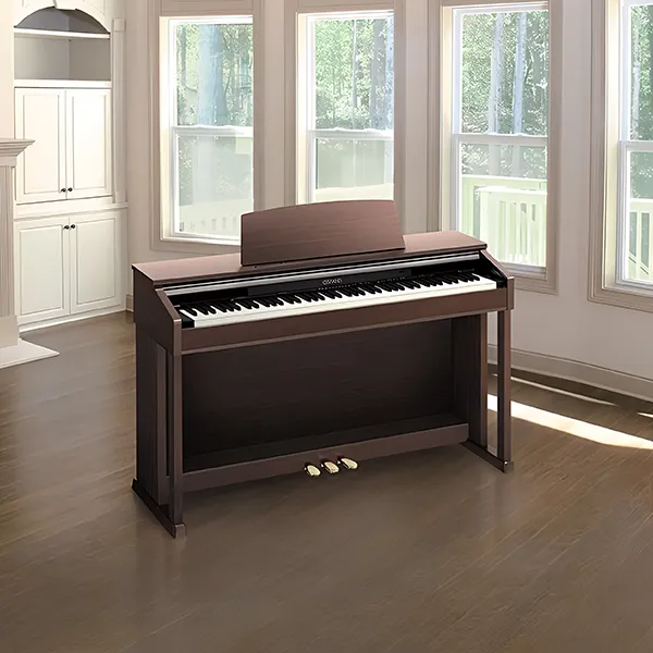 Music City – Tổng Kho Piano, Guitar, Organ | Dịch Vụ Giáo Dục Âm Nhạc