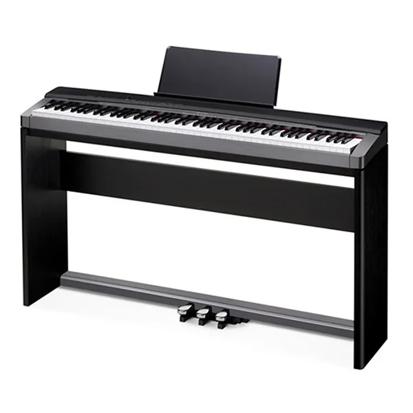 Music City – Tổng Kho Piano, Guitar, Organ | Dịch Vụ Giáo Dục Âm Nhạc