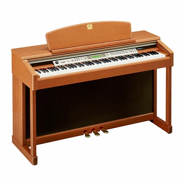 Music City – Tổng Kho Piano, Guitar, Organ | Dịch Vụ Giáo Dục Âm Nhạc