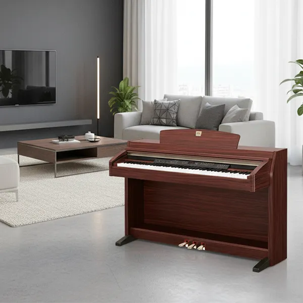Music City – Tổng Kho Piano, Guitar, Organ | Dịch Vụ Giáo Dục Âm Nhạc