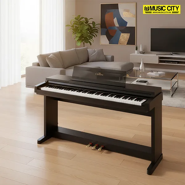 Music City – Tổng Kho Piano, Guitar, Organ | Dịch Vụ Giáo Dục Âm Nhạc