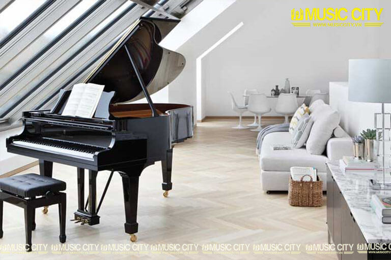 Music City – Tổng Kho Piano, Guitar, Organ | Dịch Vụ Giáo Dục Âm Nhạc