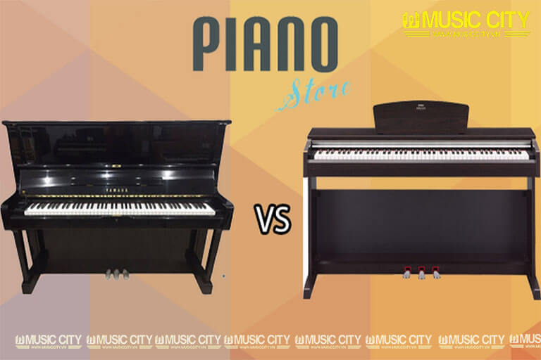 Music City – Tổng Kho Piano, Guitar, Organ | Dịch Vụ Giáo Dục Âm Nhạc
