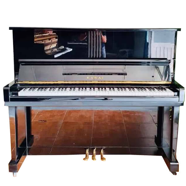 Music City – Tổng Kho Piano, Guitar, Organ | Dịch Vụ Giáo Dục Âm Nhạc