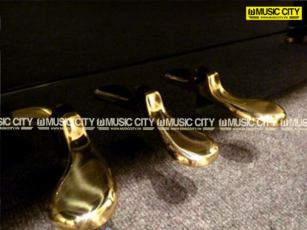 Music City – Tổng Kho Piano, Guitar, Organ | Dịch Vụ Giáo Dục Âm Nhạc