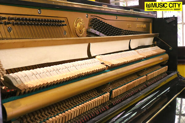 Music City – Tổng Kho Piano, Guitar, Organ | Dịch Vụ Giáo Dục Âm Nhạc
