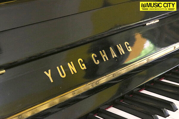 Music City – Tổng Kho Piano, Guitar, Organ | Dịch Vụ Giáo Dục Âm Nhạc