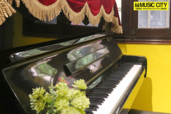 Music City – Tổng Kho Piano, Guitar, Organ | Dịch Vụ Giáo Dục Âm Nhạc