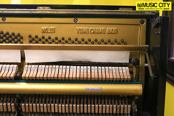Music City – Tổng Kho Piano, Guitar, Organ | Dịch Vụ Giáo Dục Âm Nhạc