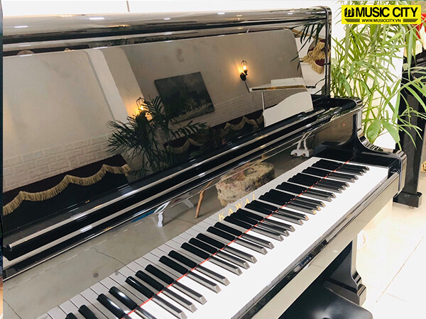 Music City – Tổng Kho Piano, Guitar, Organ | Dịch Vụ Giáo Dục Âm Nhạc