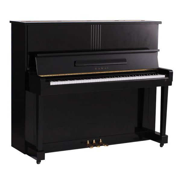 Music City – Tổng Kho Piano, Guitar, Organ | Dịch Vụ Giáo Dục Âm Nhạc