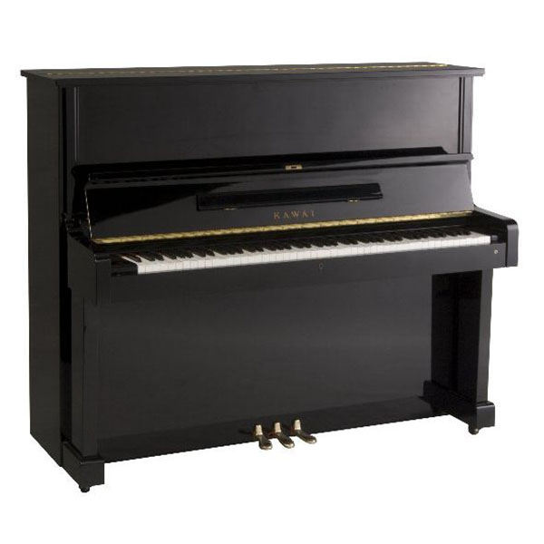 Music City – Tổng Kho Piano, Guitar, Organ | Dịch Vụ Giáo Dục Âm Nhạc
