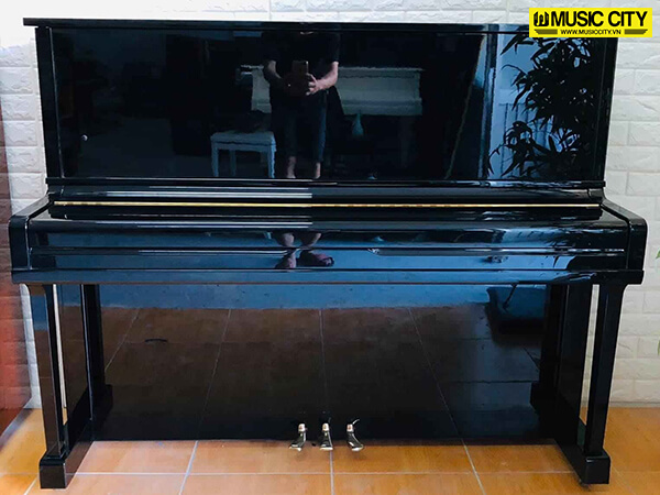 Music City – Tổng Kho Piano, Guitar, Organ | Dịch Vụ Giáo Dục Âm Nhạc