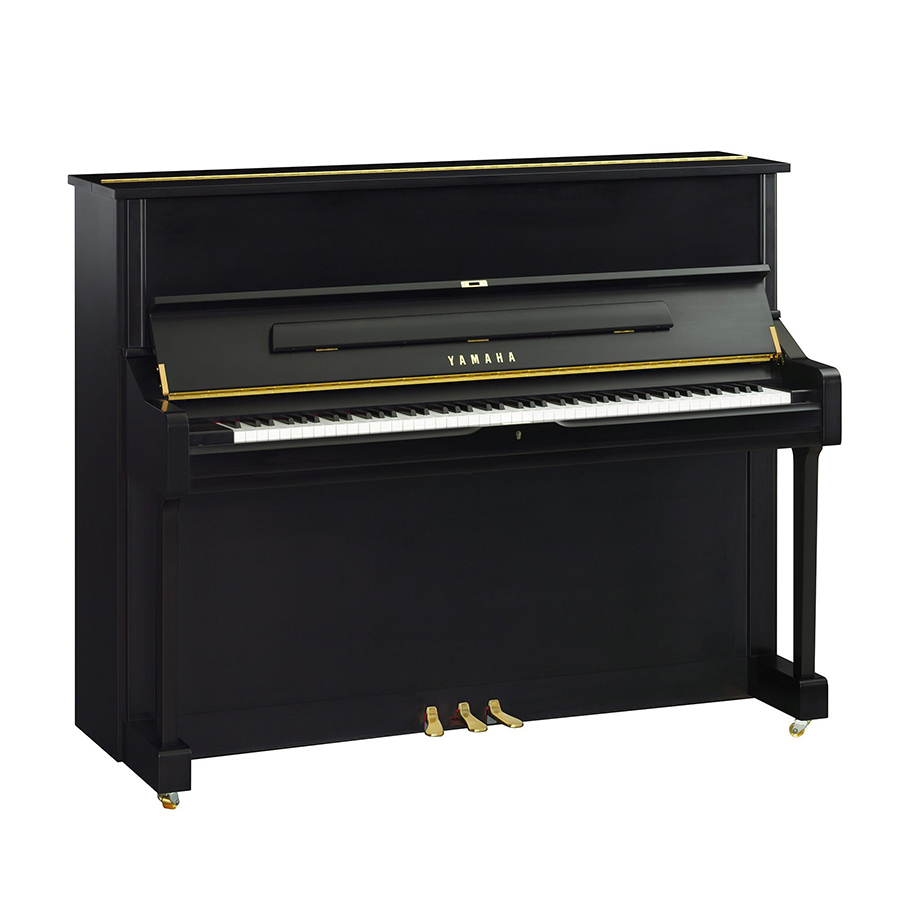 Music City – Tổng Kho Piano, Guitar, Organ | Dịch Vụ Giáo Dục Âm Nhạc