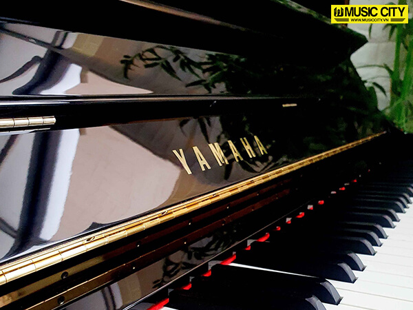 Music City – Tổng Kho Piano, Guitar, Organ | Dịch Vụ Giáo Dục Âm Nhạc
