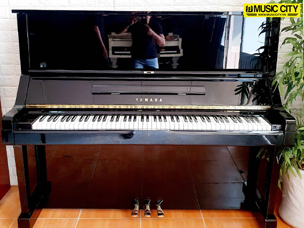Music City – Tổng Kho Piano, Guitar, Organ | Dịch Vụ Giáo Dục Âm Nhạc
