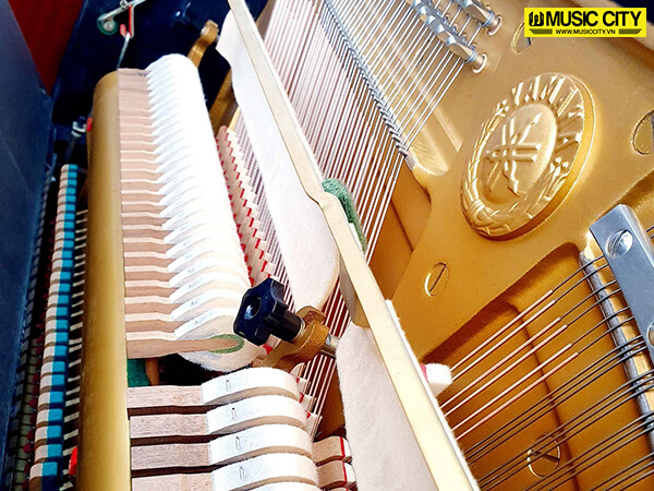 Music City – Tổng Kho Piano, Guitar, Organ | Dịch Vụ Giáo Dục Âm Nhạc