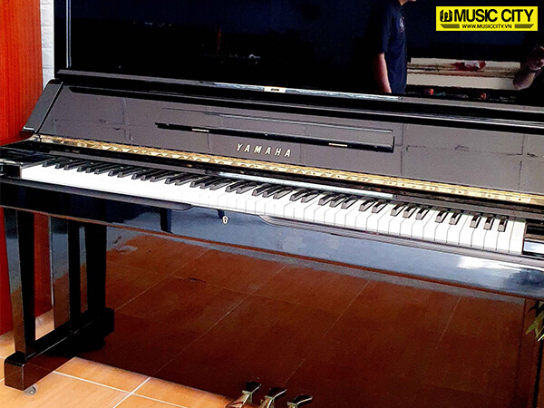 Music City – Tổng Kho Piano, Guitar, Organ | Dịch Vụ Giáo Dục Âm Nhạc