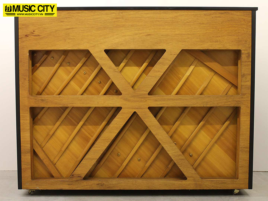 Music City – Tổng Kho Piano, Guitar, Organ | Dịch Vụ Giáo Dục Âm Nhạc