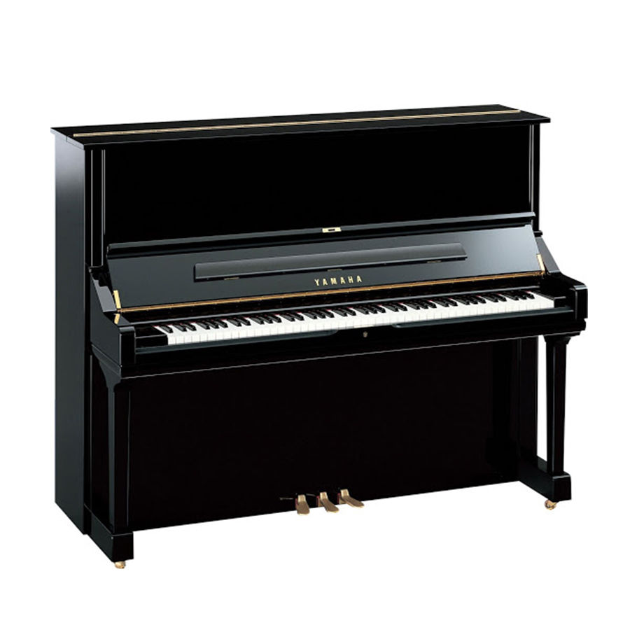 Music City – Tổng Kho Piano, Guitar, Organ | Dịch Vụ Giáo Dục Âm Nhạc