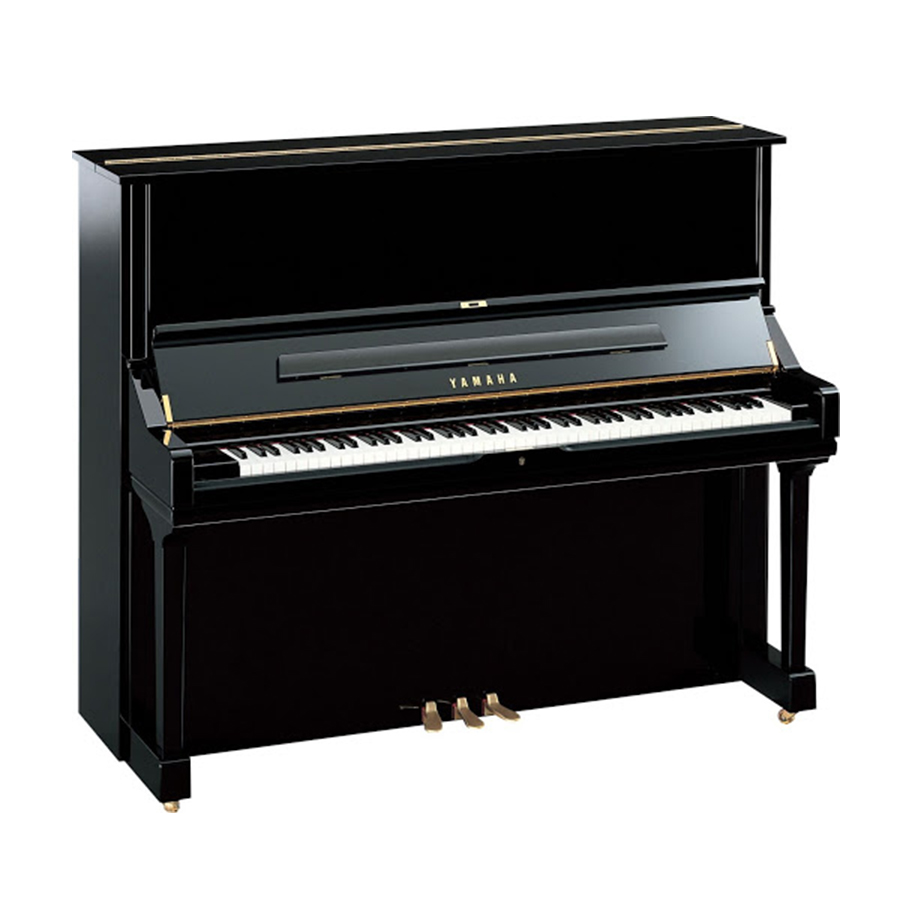 Music City – Tổng Kho Piano, Guitar, Organ | Dịch Vụ Giáo Dục Âm Nhạc